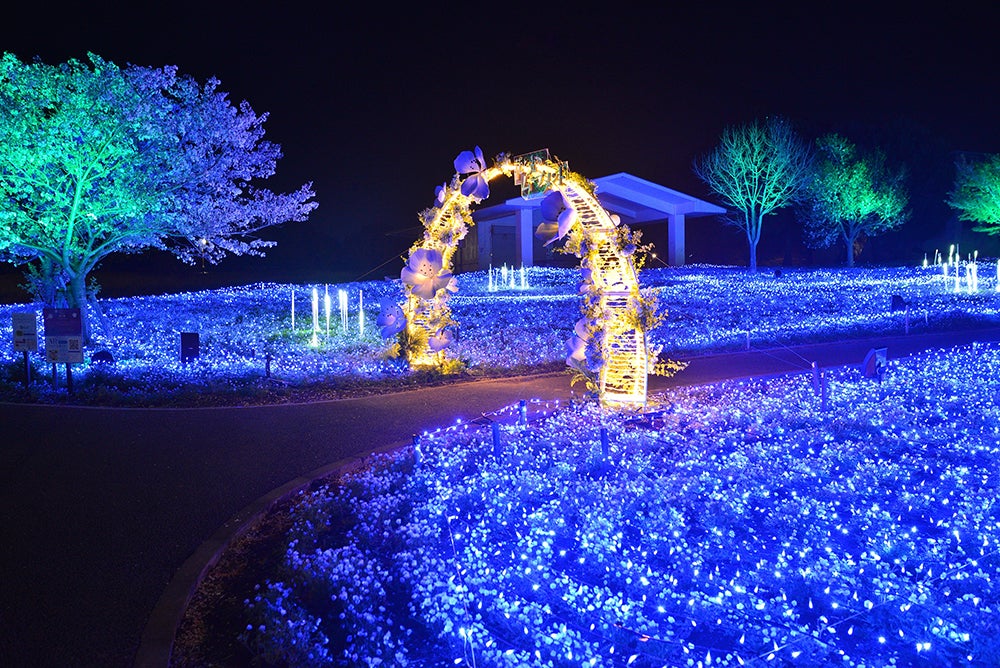 花と光のムーブメント／提供画像
