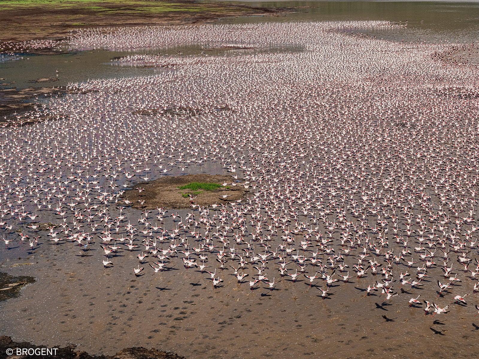 エアクルーズ・ザ・ライド／提供画像