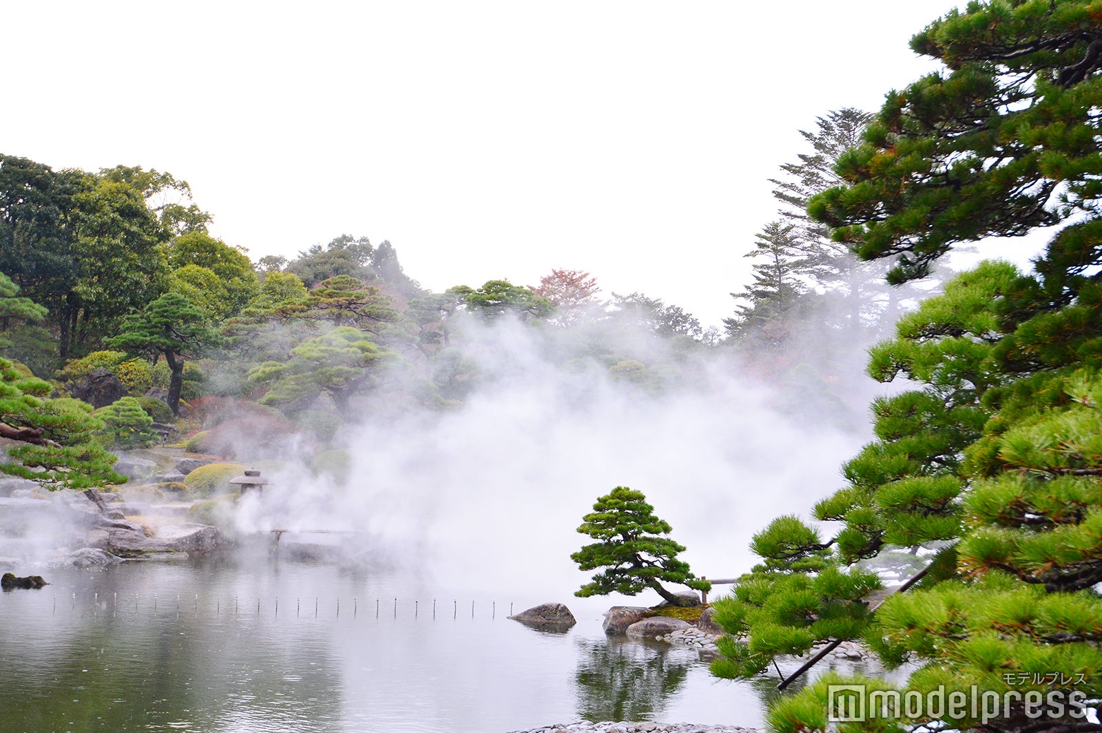 （C）モデルプレス