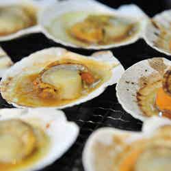 魅力満載のフード/画像提供:さっぽろ雪まつり実行委員会