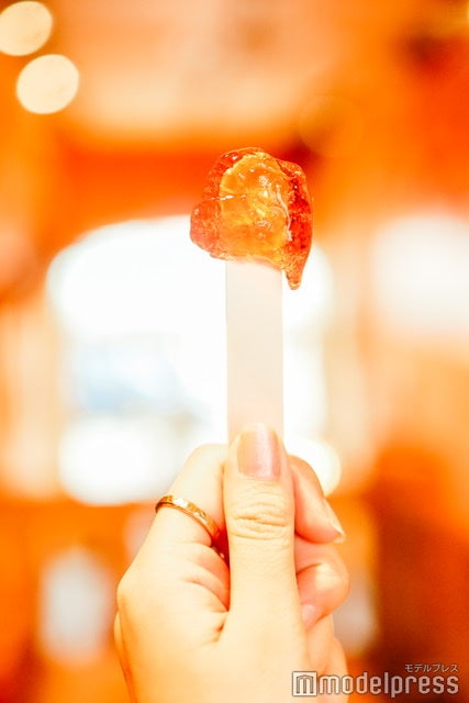 メープルタフィ（C）モデルプレス