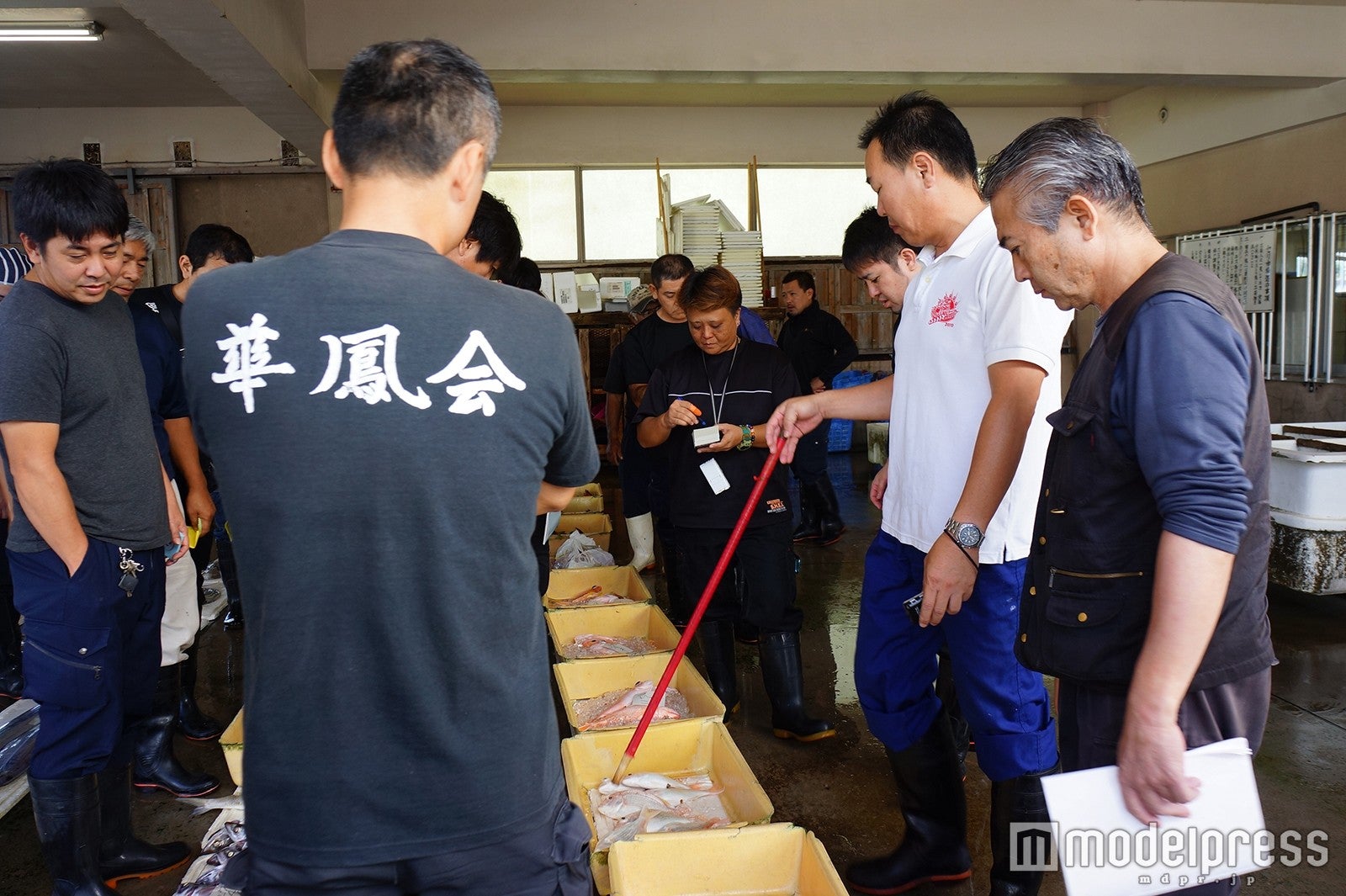 せり体験／画像提供：WILLER ALLIANCE