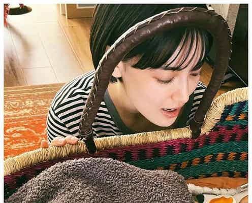 藤井夏恋、姉・萩花さんの双子と初対面「姉は母として立派に頑張ってました」