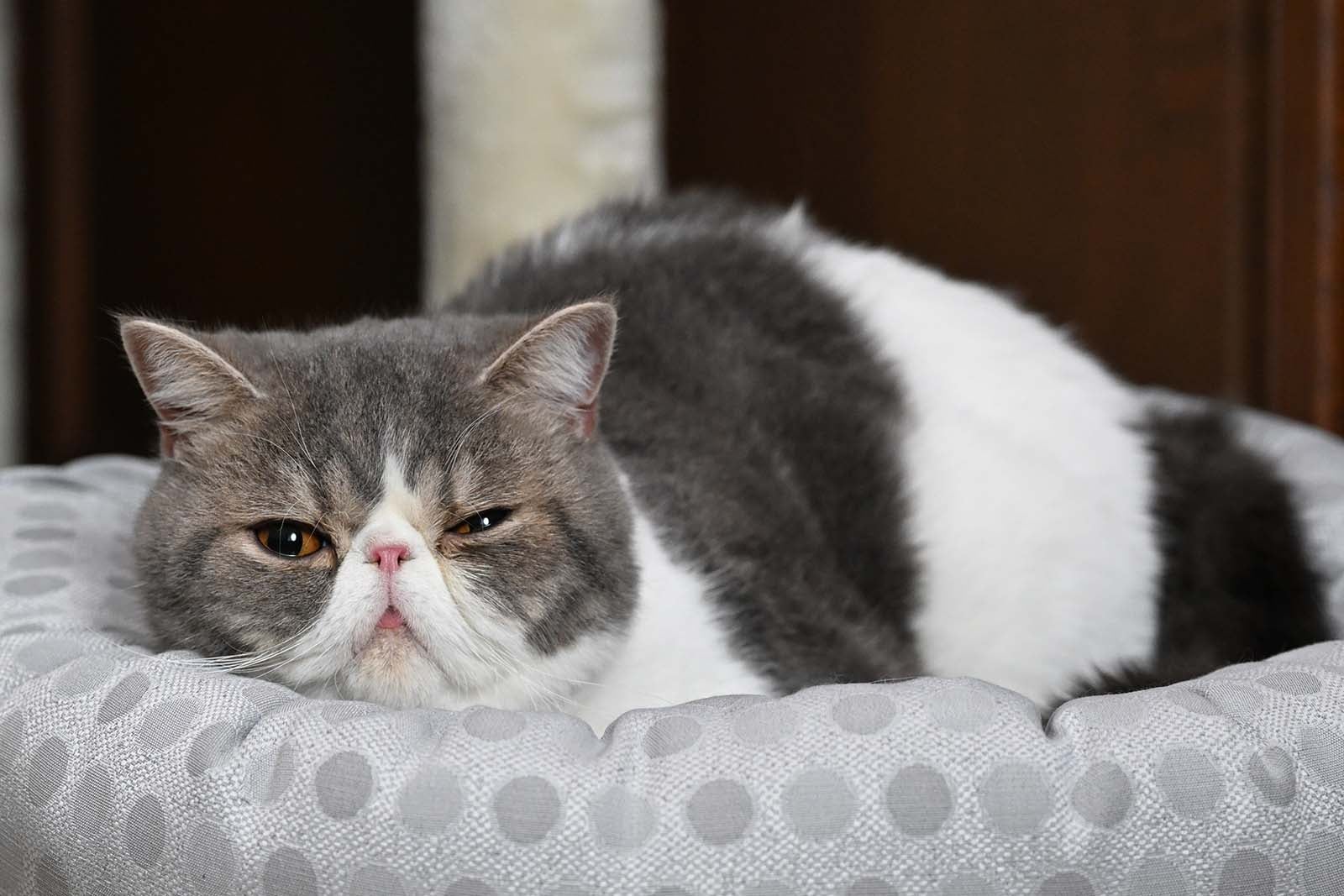 「リビングの松永さん」第2話より（C）カンテレ