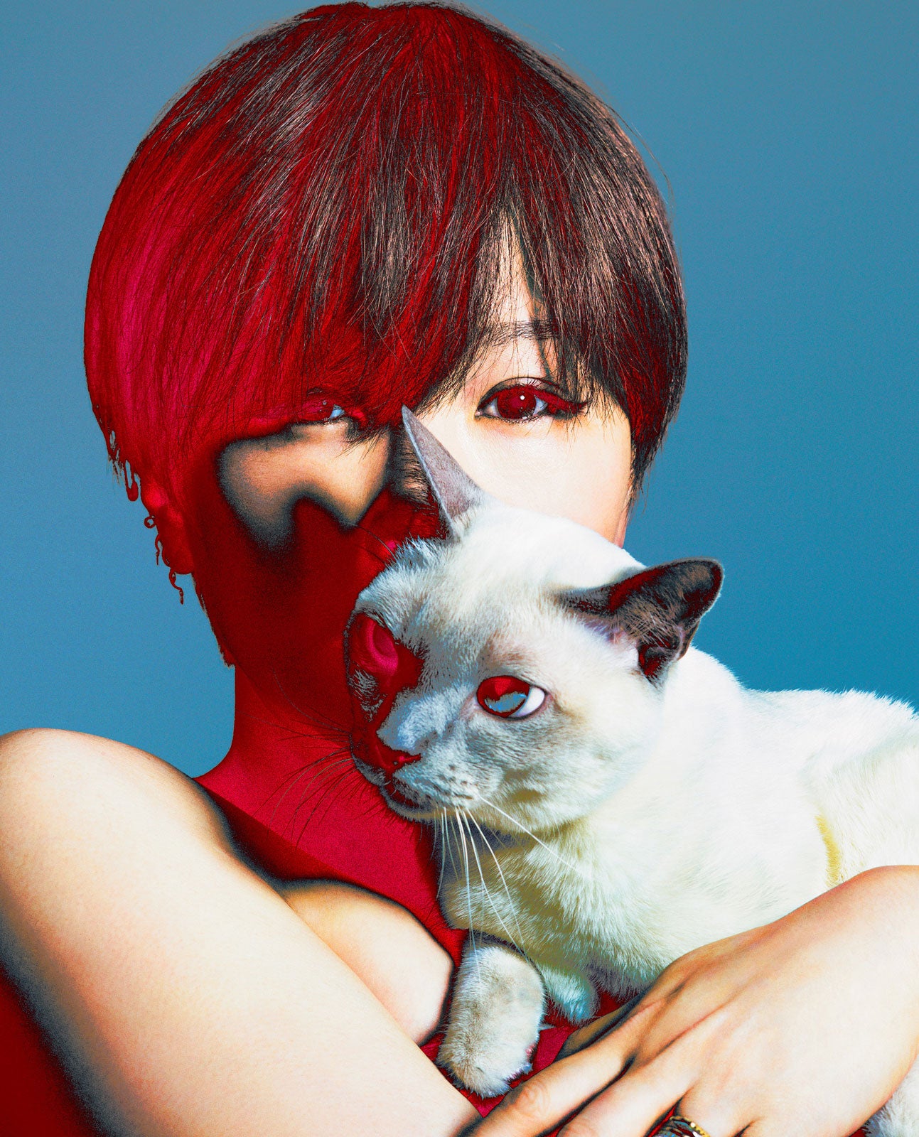【レア】椎名林檎さん『シルバー猫リング』 kWxYv5e1qTIi-s6Ykv-