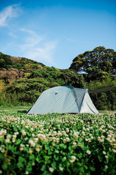 キャンプ＆サウナ ウーシ／画像提供：コンタクト・イースト