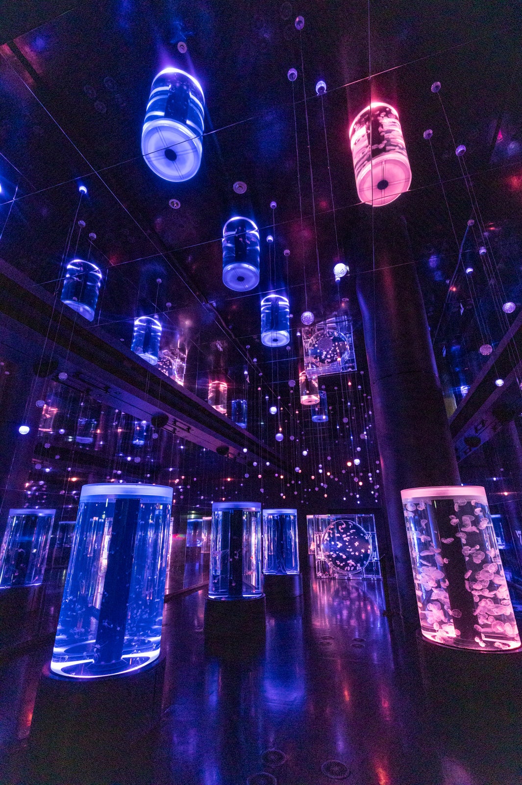 SEVENTEEN 'FOLLOW' THE CITY NIGHT AQUARIUM（C）HYBE JAPAN