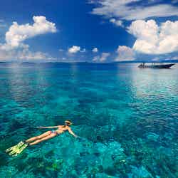 サンゴやトロピカルフィッシュがいっぱい、シュノーケルはぜひチャレンジを!(提供写真)