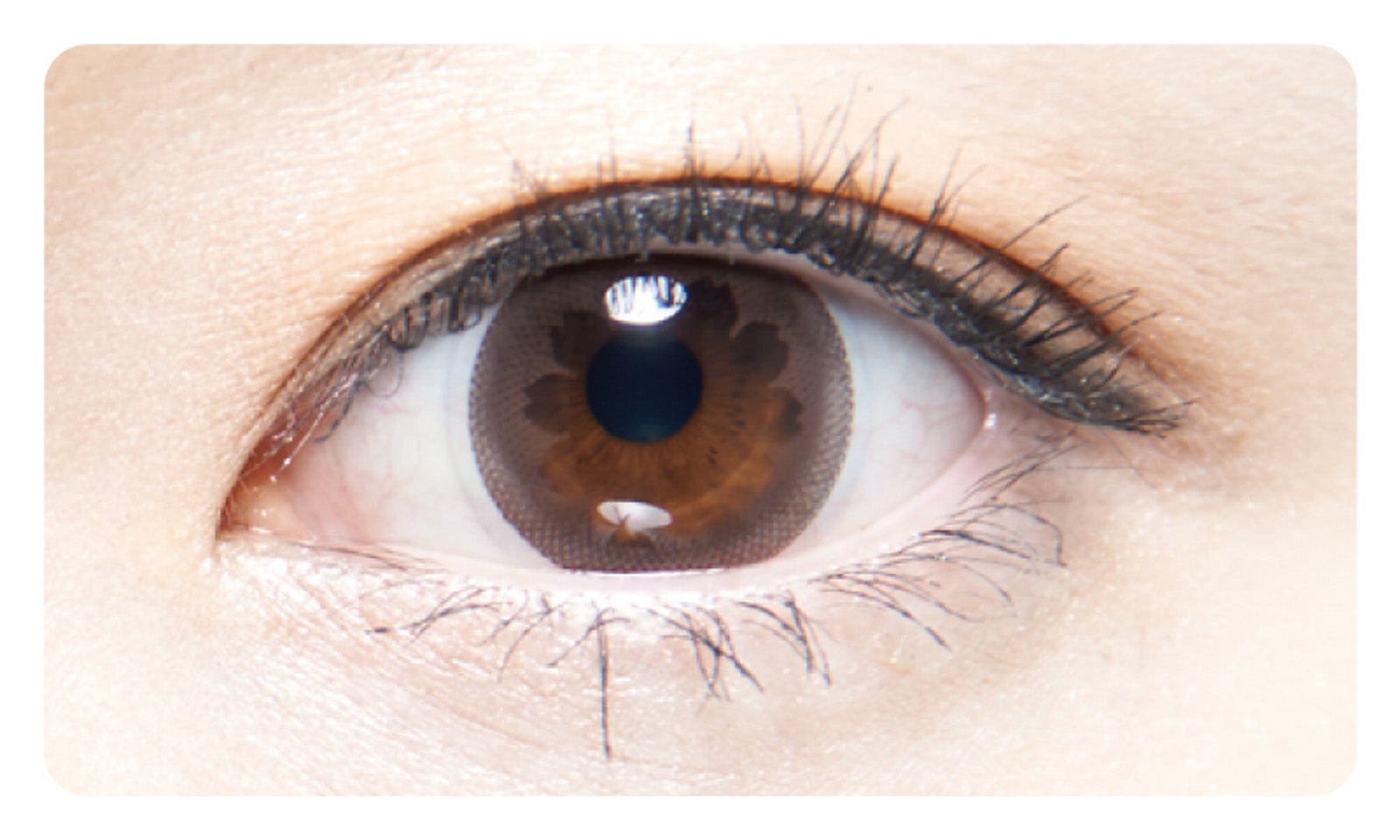 2WEEKメニコン Reiシリーズ Nudy Brown（着色外径：13.3mm／着色内径：7.0mm ）