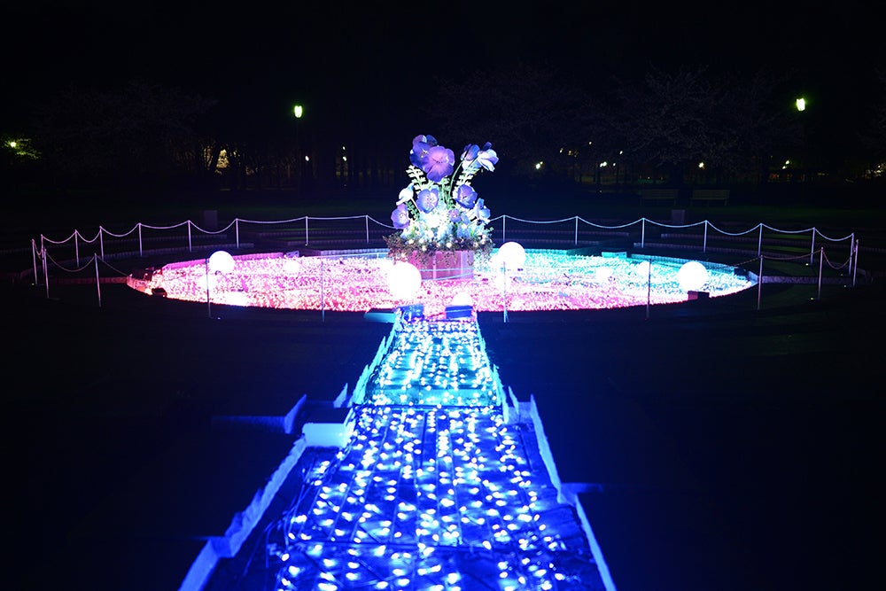 花と光のムーブメント／提供画像