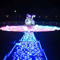 花と光のムーブメント/提供画像