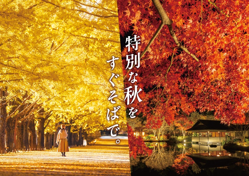 国営昭和記念公園／提供画像