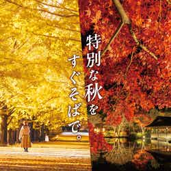 国営昭和記念公園/提供画像