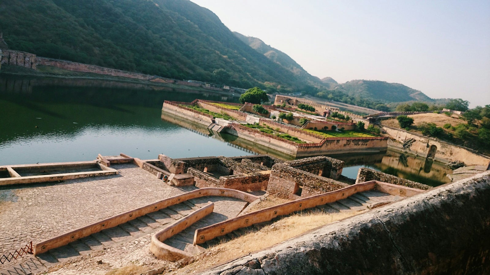 象の背中からの景色／画像提供：所属事務所