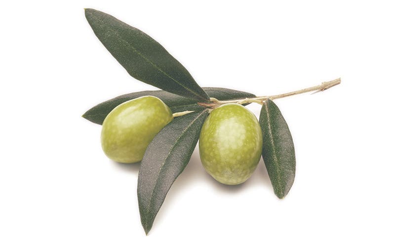 オリーブ果実油