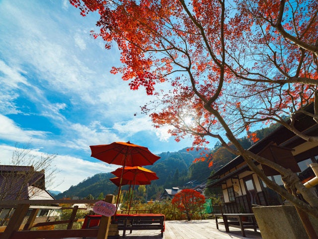 column_3c62414499a1c23ac410c0292ec48843.