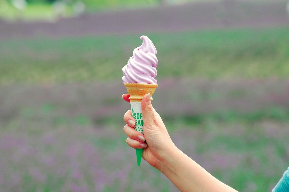 たんばらラベンダーパーク／画像提供：東急リゾーツ＆ステイ