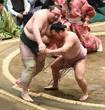 十両炎鵬が2連勝 白鷹山に寄り切りで圧勝