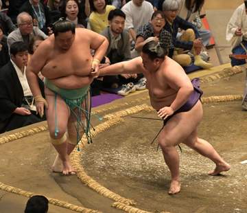 大相撲 5日目にして早くも全勝力士が消滅 琴桜が敗戦 5連勝ならず 大の里、霧島、熱海富士は1敗キープ 安青錦は痛恨の2連敗