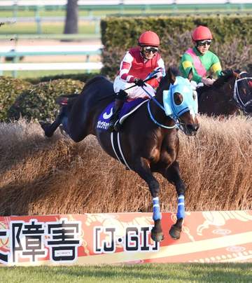 障害の絶対王者オジュウチョウサンが顕彰馬に選出される 顕彰者は国枝元調教師、蛯名正義調教師