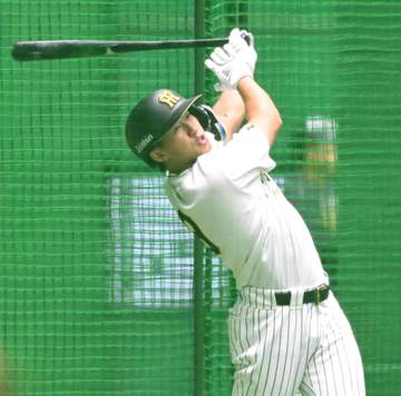 【解説】阪神・立石の不振は練習量の不足 3度の離脱で「土台」が出来上がっていない 急いで昇格させる必要はない