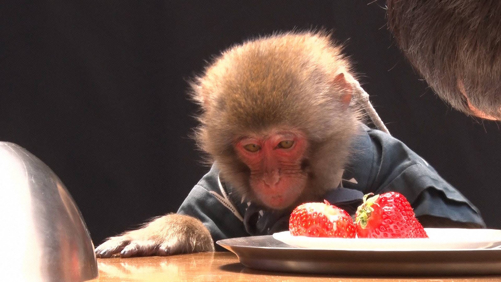 番組の様子 （C）フジテレビ