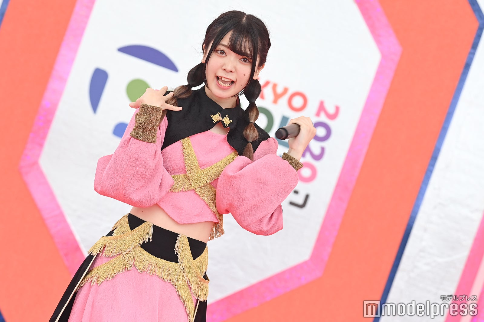 豆柴の大群（C）モデルプレス