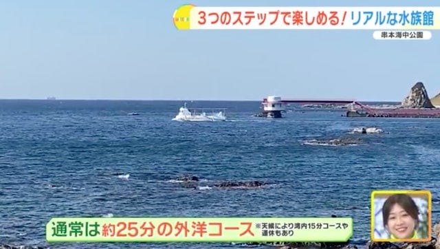 【和歌山】距離、ちかっ！大人も子どもも楽しめる「リアルな水族館」