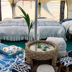 LOTUS NIGHT/画像提供:ブッキングリゾート