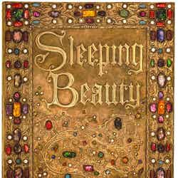 「眠れる森の美女」小道具ストーリーブック（C）Disney
