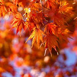 Light & Light by ai3310X