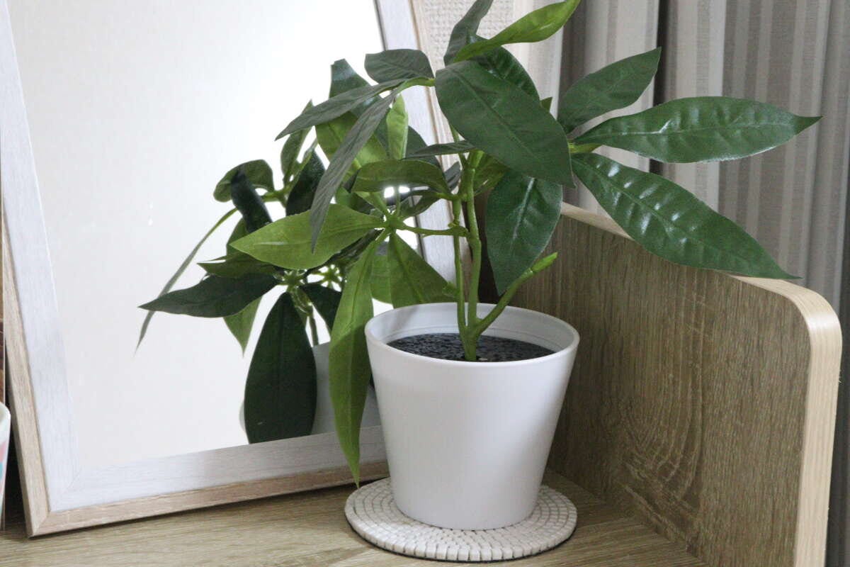 ダイソー　グリーンポット（1）　　インテリア