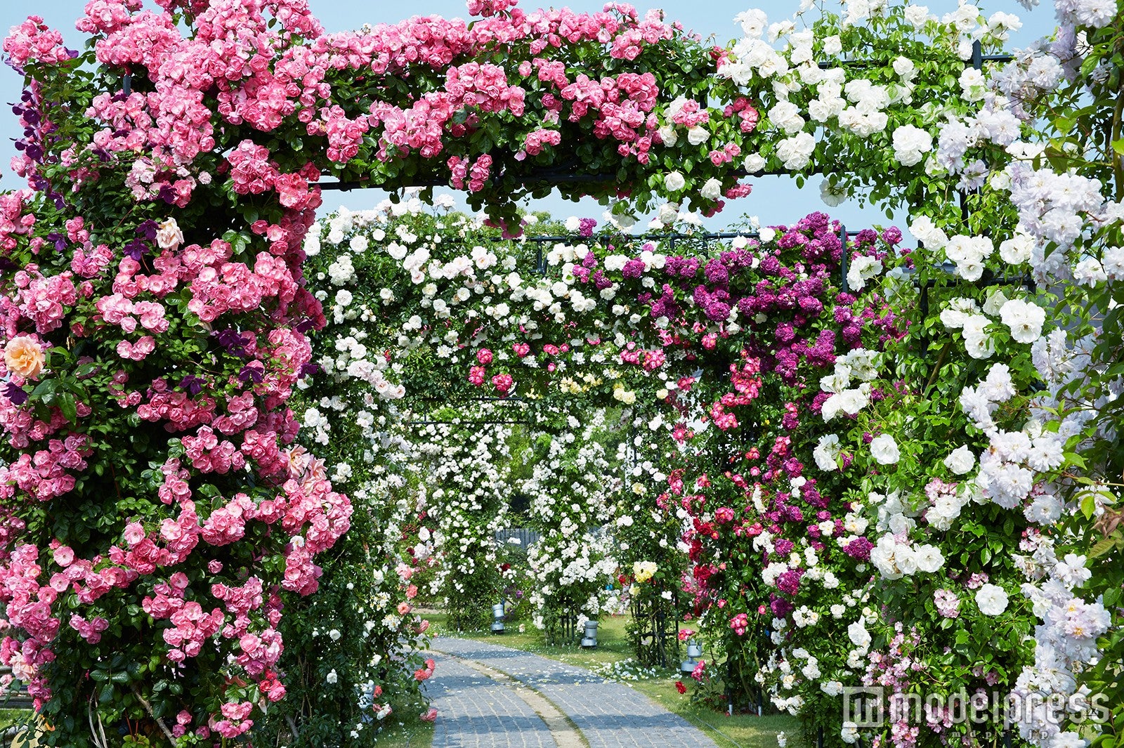 ランドスケープローズエリア／画像提供：ハウステンボス