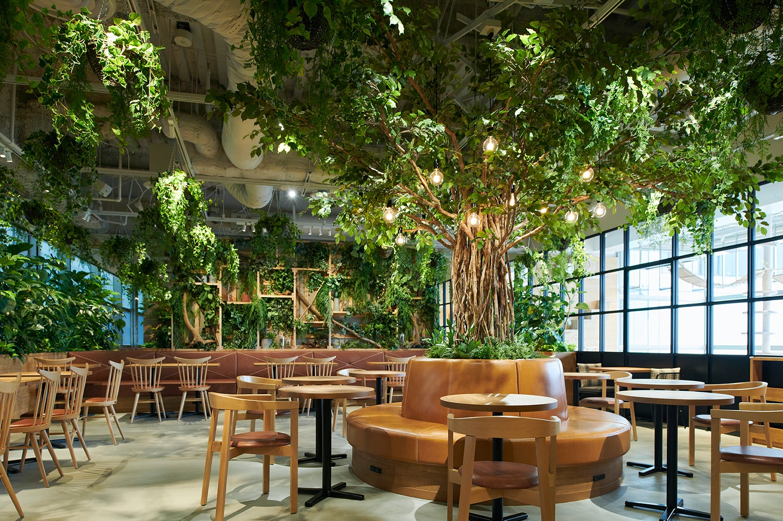 こもれびカフェ Sweet＆Cafe／画像提供：アクア・ライブ・インベストメント