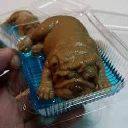 凄まじくリアルなタイの“犬ゼリー”が「可愛くて食べられない」「本物みたい」と話題沸騰