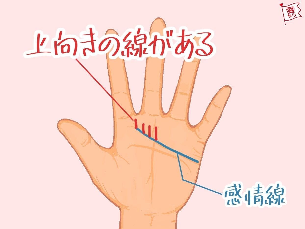 魅力が高まりモテ期到来の手相
