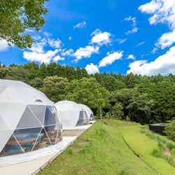 ほけだけグランピング~和泉の毬花~/提供画像