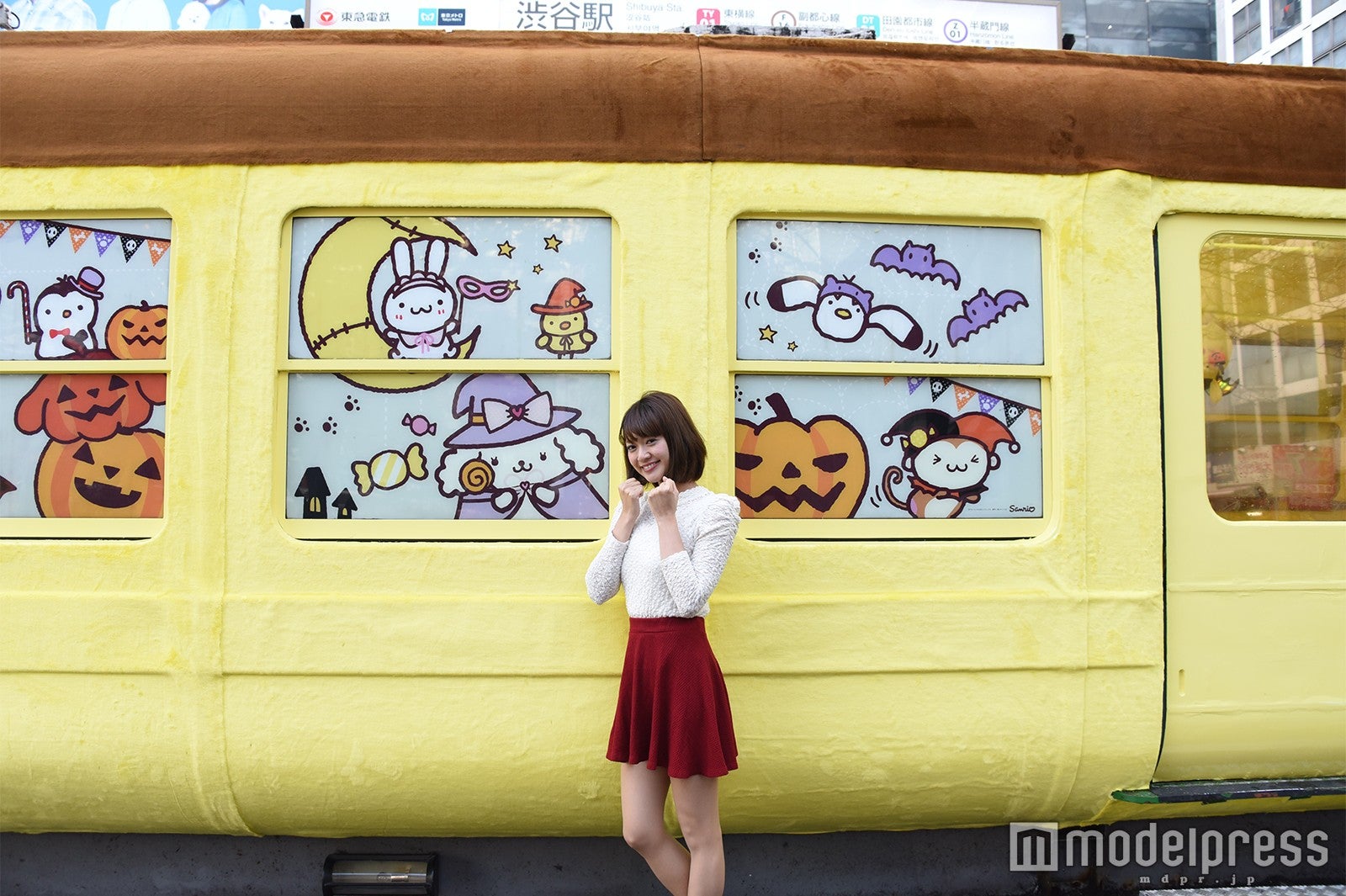 ポムポムトレイン／画像提供：ポムポムトレインPR事務局