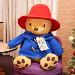 パディントンのぬいぐるみ(イメージ)/提供画像