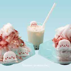 キュートなしろたんカフェ限定OPEN「キューズスポットオモハラ」表参道・原宿エリアに誕生/画像提供:株式会社クリエイティブヨーコ