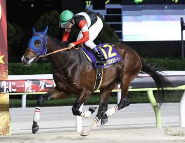 3歳ダート2冠馬フィンガー 今夏はアメリカ遠征 田中博師がプラン明かす「パシフィッククラシックを目標に。結果次第でBCクラシックへ」