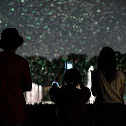 バブルミネーション/提供画像