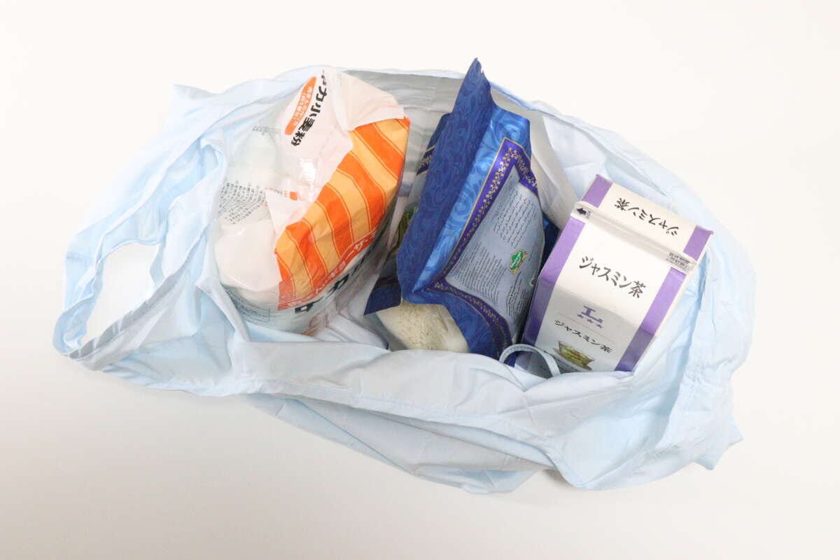 チャーム付エコバッグ、ボストン風、BL（リカちゃん）　使用例