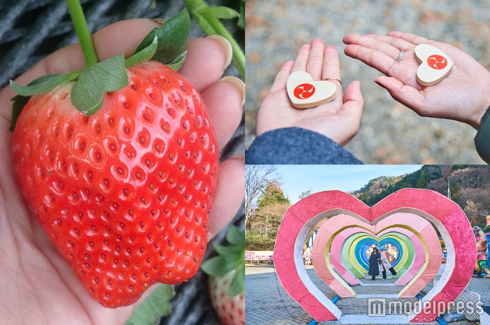 いろんなハートが見つけることができます(C)モデルプレス