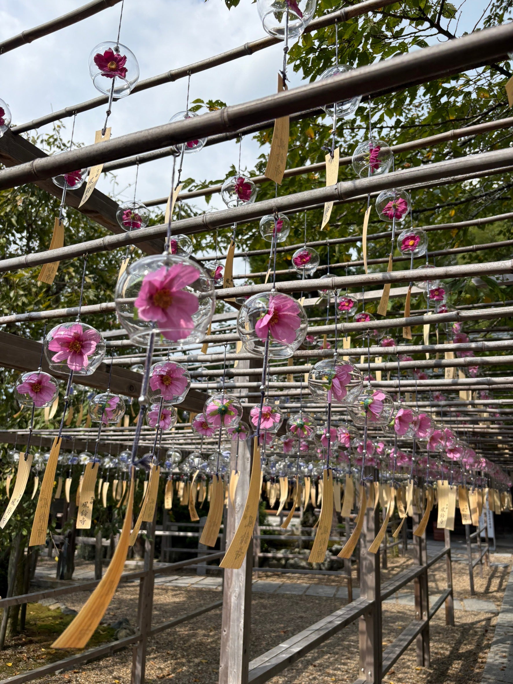 山下伶亜奈「京都おすすめスポット」（提供写真）