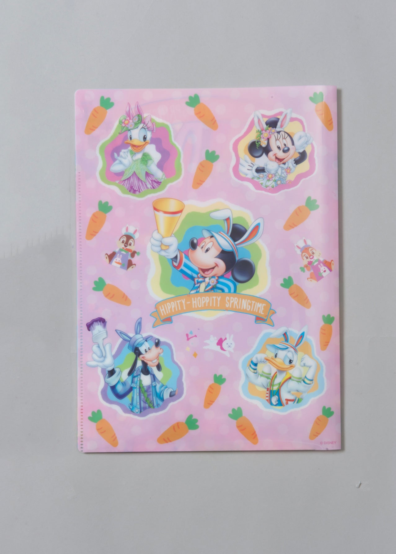 ダブルポケットホルダー、バックデザイン（C）Disney