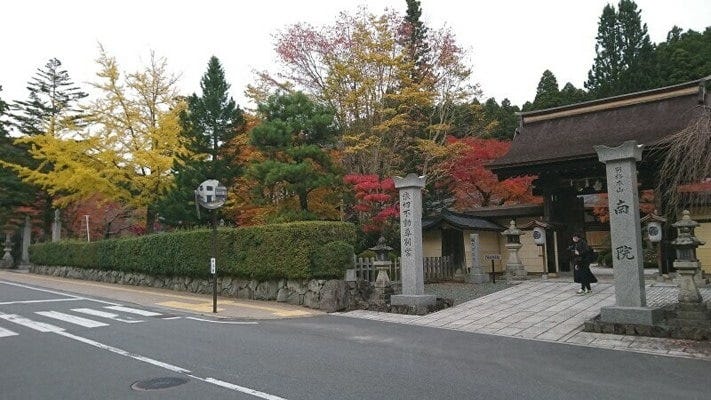 南院の紅葉・黄葉(2022年11月6日撮影)