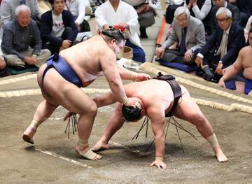 横綱豊昇龍にアクシデント 高安に敗れ右足負傷 自力歩けず車いすで診療所に 直前ににらみ合いの異様ムードの中での取組でまさか・・・波乱の初日に館内騒然
