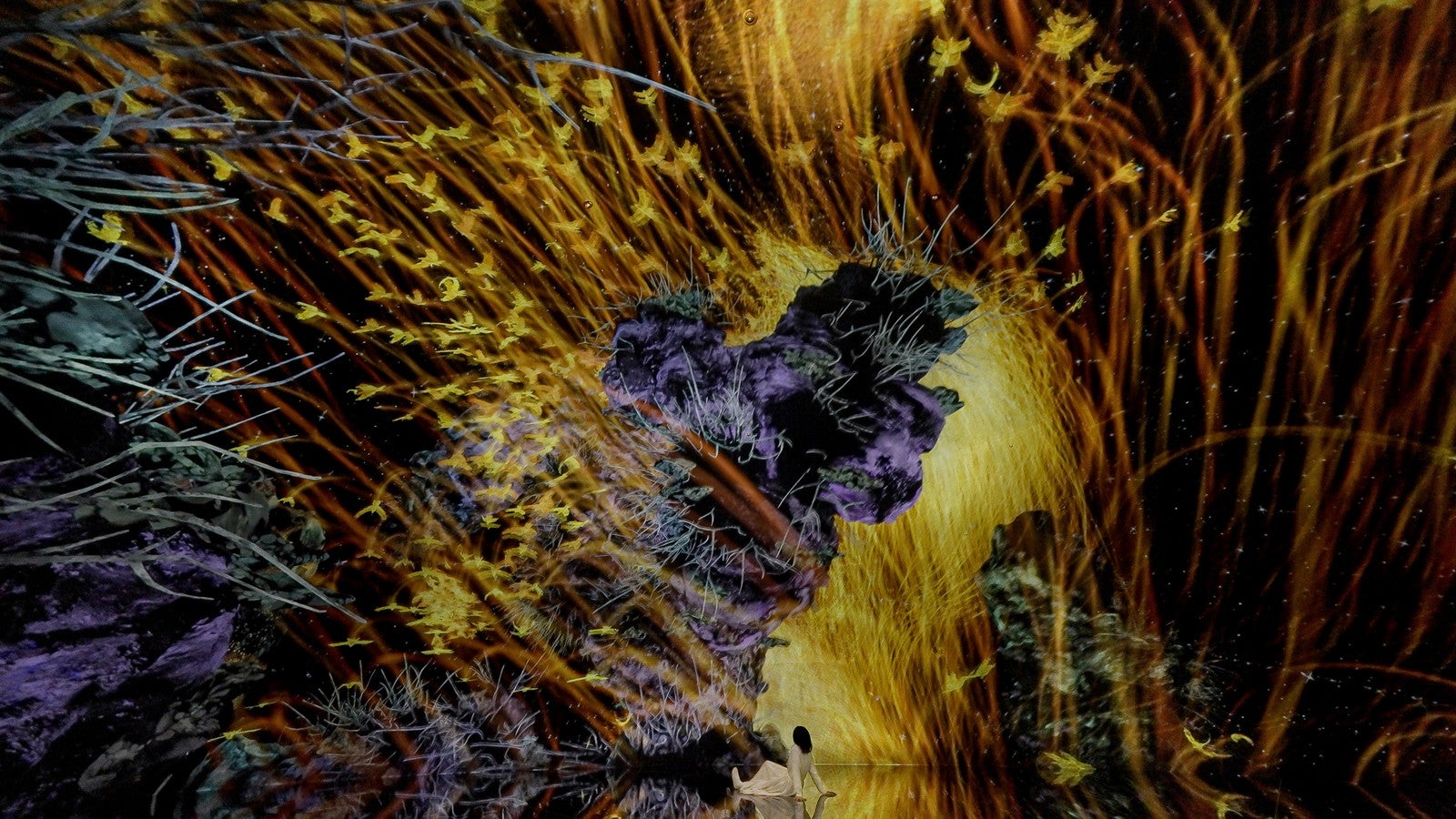 チームラボ バイオヴォルテックス 京都（C）チームラボ