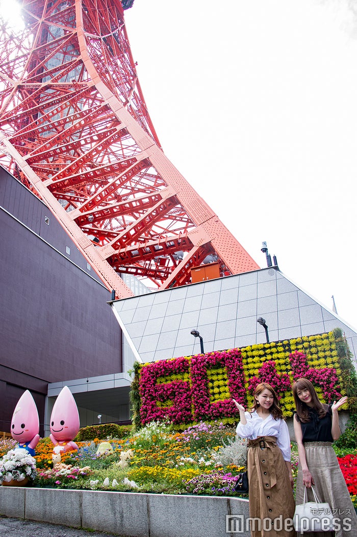 東京タワーに ロマンチック なインスタ映えスポットが期間限定で登場 Snsでも話題に モデルプレス